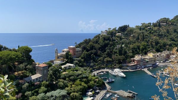 Immagine 8
