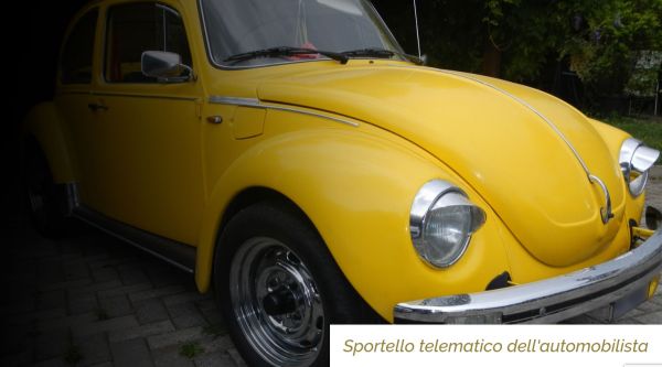 Immagine 3