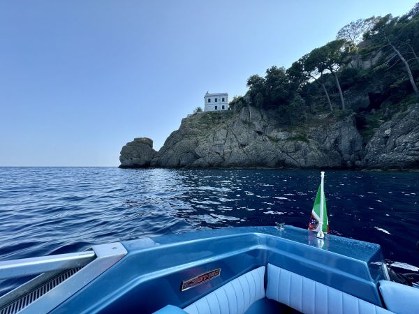 Immagine 7