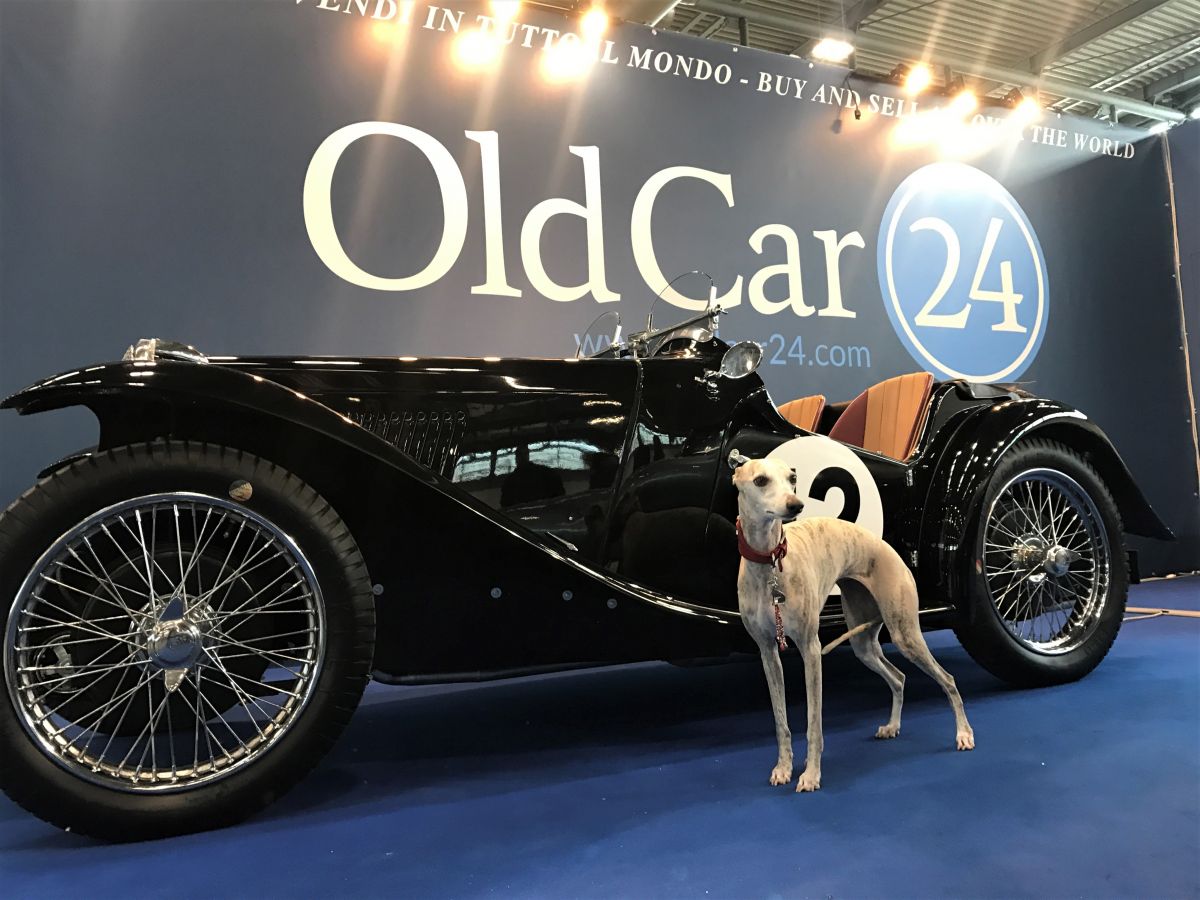 FOTO LIVE VERONA LEGEND CARS 2019 ! 