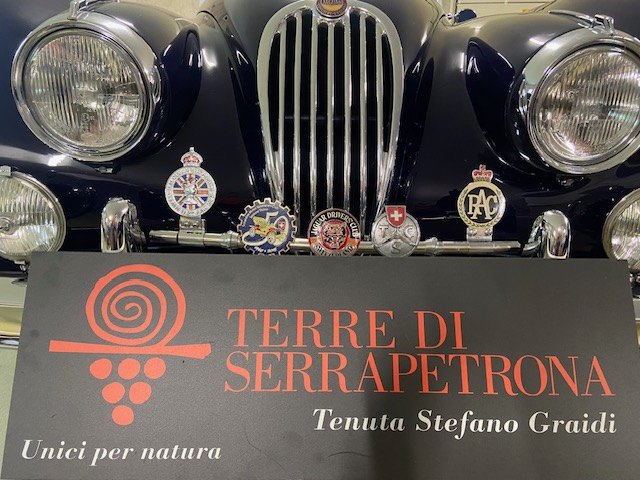 Galleria immagini 2